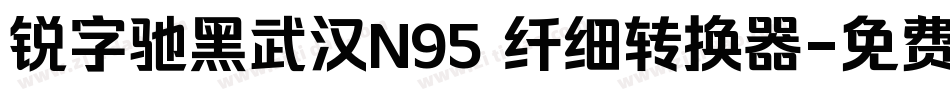 锐字驰黑武汉N95 纤细转换器字体转换